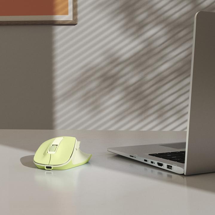 Actual product image Hama WM-500 (Wireless)