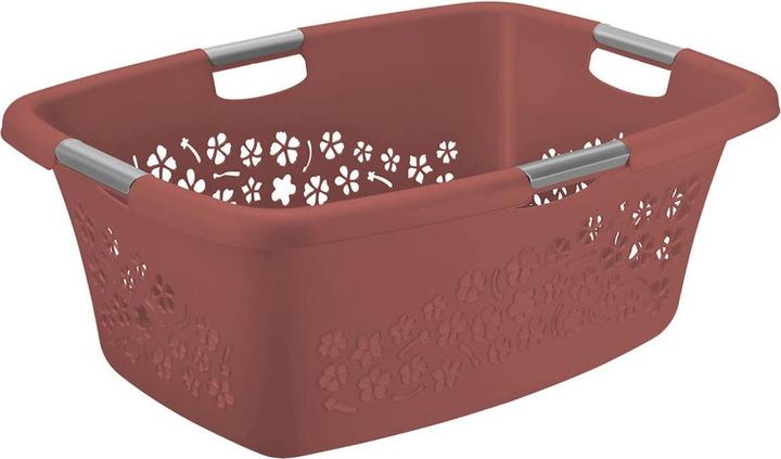 Image du produit Rotho Fleurs (50 l)