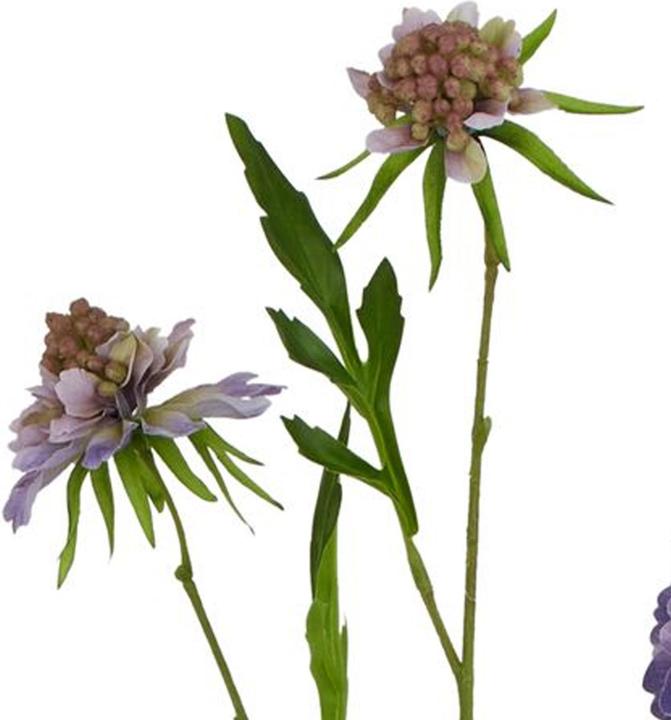 Immagine prodotto Hill Interiors The Natural Garden Collection Gambo di Scabiosa Pianta artificiale (65 cm)
