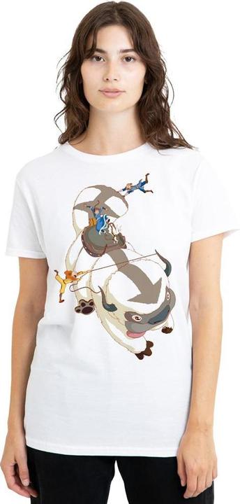 Produktbild Avatar: The Last Airbender Hang On TShirt (XL)