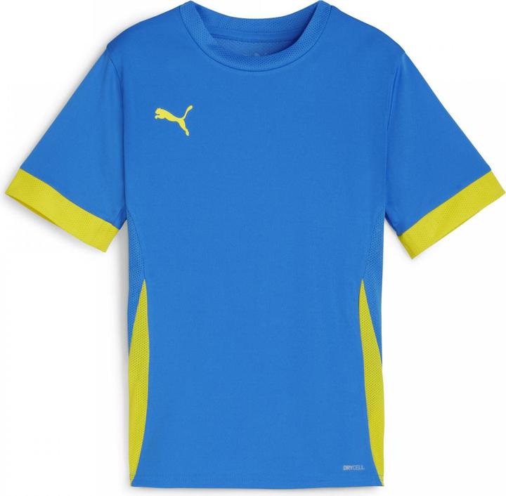 Image du produit Puma teamGOAL Matchday Jersey jr (128)