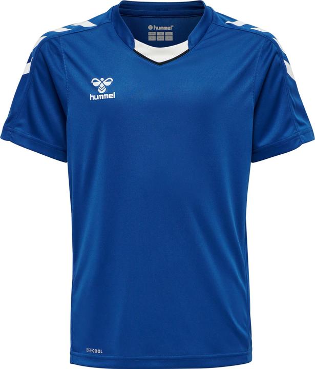 Vrai bleu