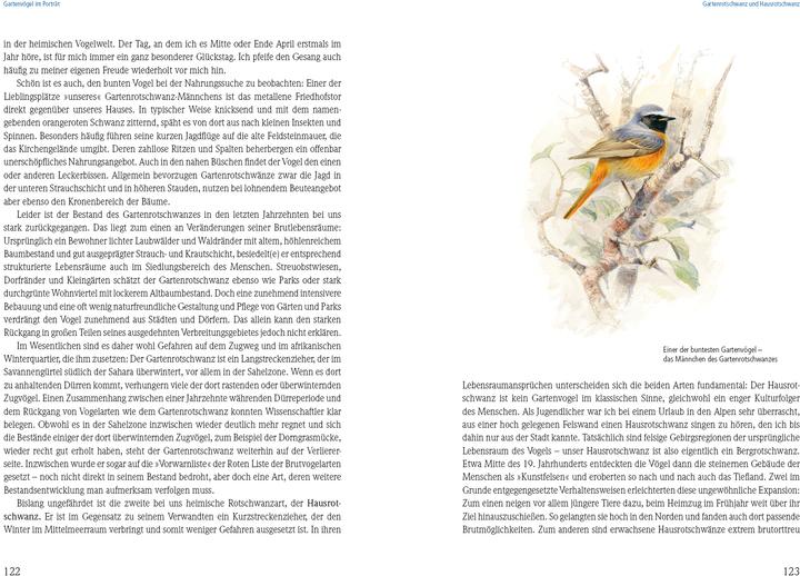 Produktbild Das grosse Buch der Gartenvögel (Deutsch, Christopher Schmidt, Uwe Westphal, 2021)