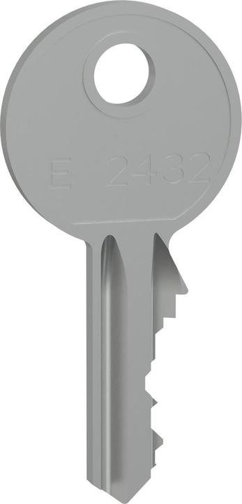 Actual product image Schneider PrismaSeT-P, cylinder lock, with 2 keys no. 2432E LVS07956