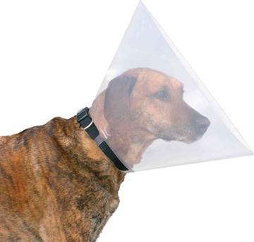 Actual product image Trixie Protective collar (Dog)