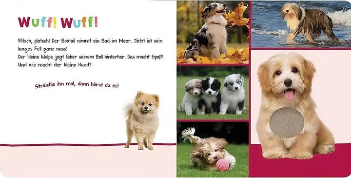 Immagine prodotto Ascoltate, chi può essere? - Animali coccolosi (Tedesco)