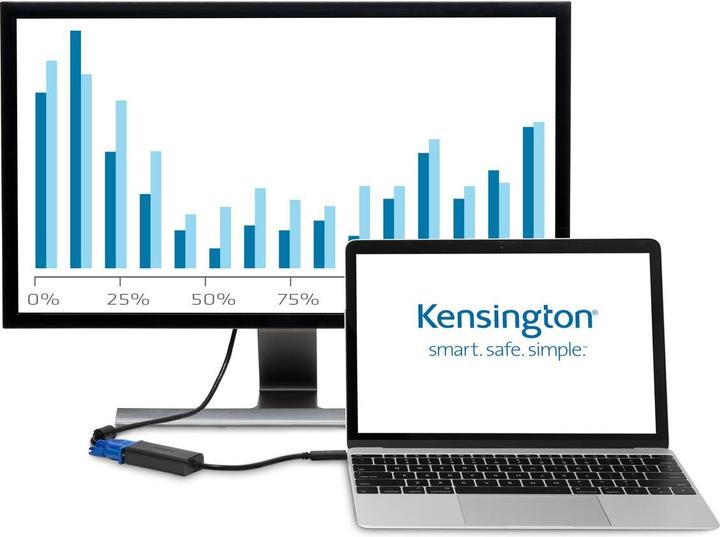 Actual product image Kensington CV2000V (VGA, 18 cm)