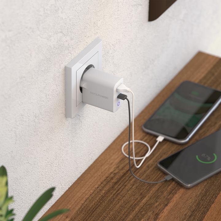 Produktbild RealPower 352264 Überlastung (20 W)