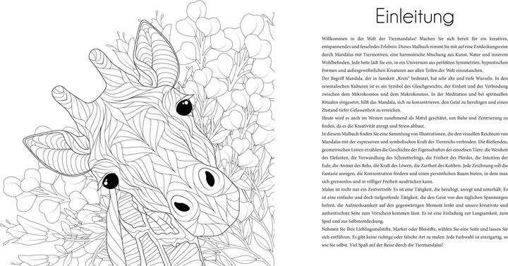 Actual product image Tier-Mandalas