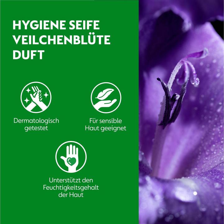 Actual product image Dettol No-Touch Hand Soap Refill Violet Blossom (refill, 250 ml)