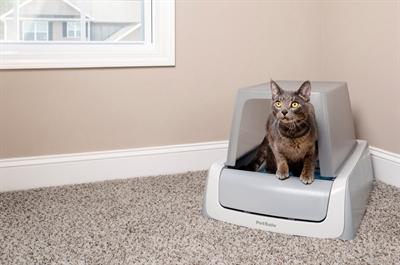 Immagine prodotto PetSafe ScoopFree (Lettiera autopulente)