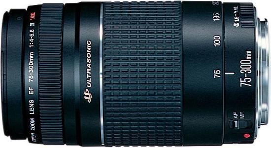 Productafbeelding Canon EOS 2000D Kit (75 - 300 mm, 24 Mpx, APS-C / DX)