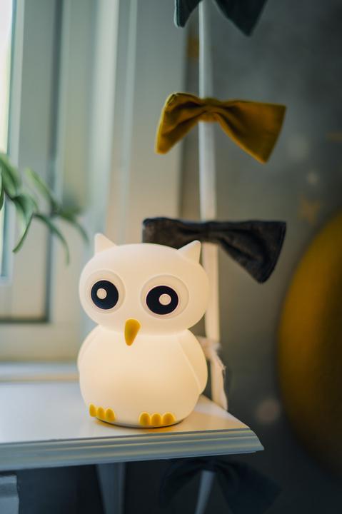 Produktbild Star Trading Nachtlicht Functional Owl