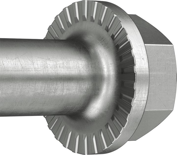 Actual product image Fischer 558239 (50 pcs.)