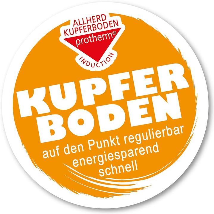 Actual product image Schulte-Ufer XXStrong casserole (Casserole + Stewpot, Saucepan, Stainless steel, 28 x 6.30 cm)