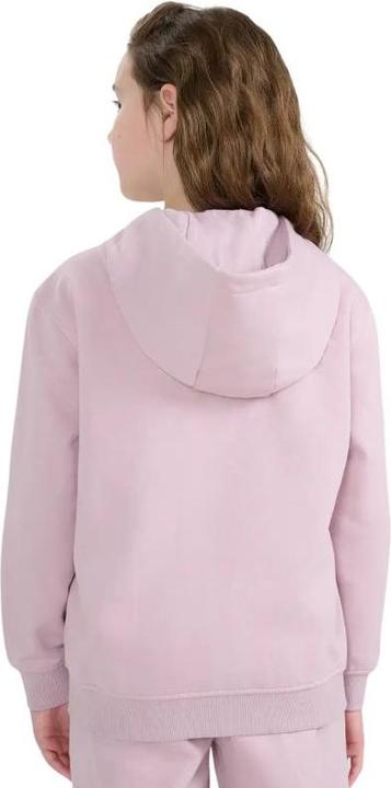 Image du produit 4F Junior-Sweatshirt (164)