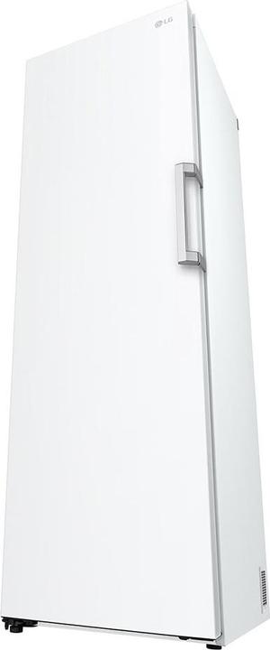 Actual product image LG GFT41SWGSZ (Stand-alone, 324 l)