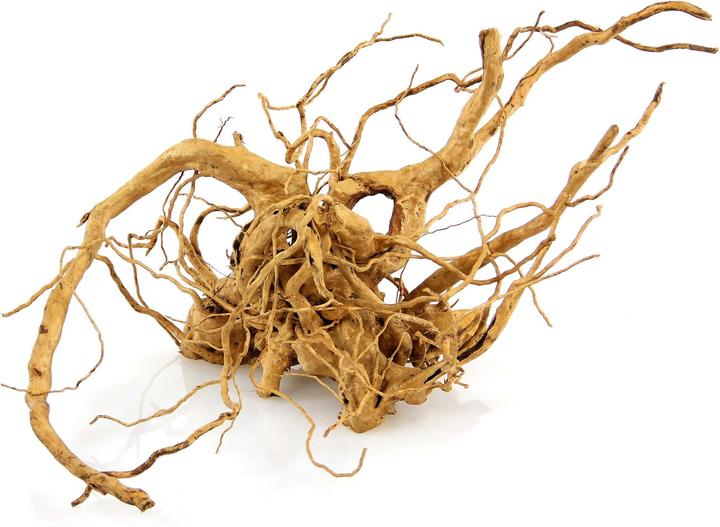 Amazonas World Finger root (1 pc) (Basics, Basics)