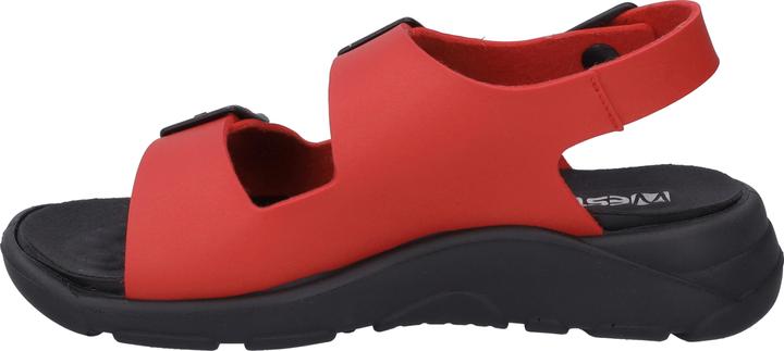 Actual product image Westland 19806-481 (42)