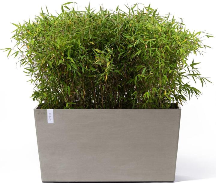 Produktbild Ecopots Paris Wheels 100 Blumentopf - L 100,5 cm x B 39,6 cm x H 51,8 cm - Innen- und Aussenbereich (100.50 x 39.60 x 51.80 cm)