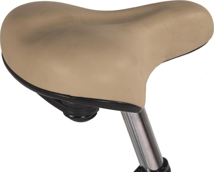 Actual product image Hollandia Hollandrad 28" Rivel blau 3 Gänge RH 54 cm (54 cm)