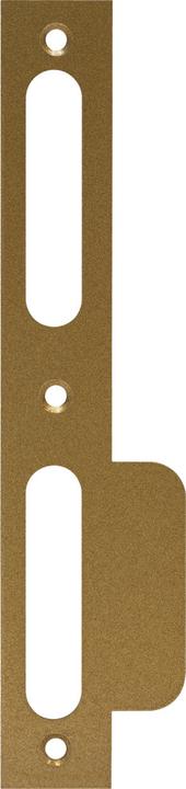 Actual product image Abus LSB170 R G 24 EK Lug striking plate, gold (Door handle)