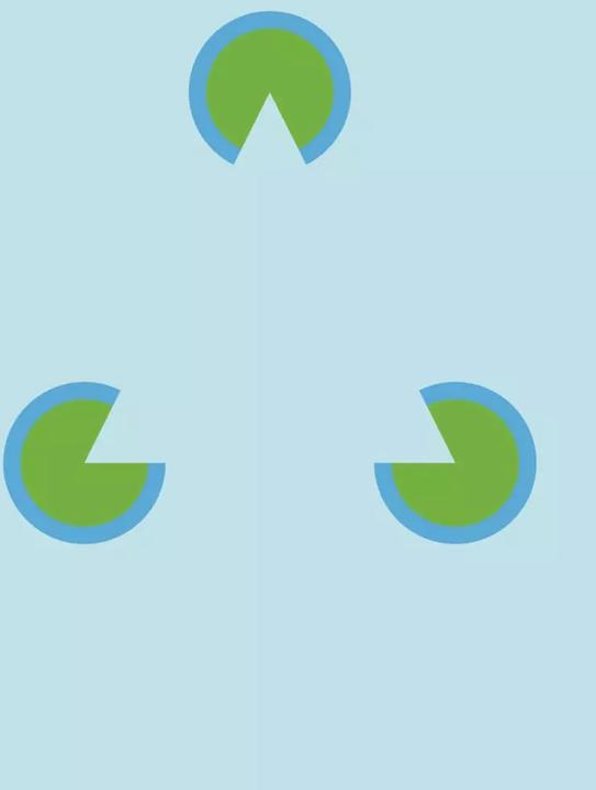 Produktbild Optische Täuschungen