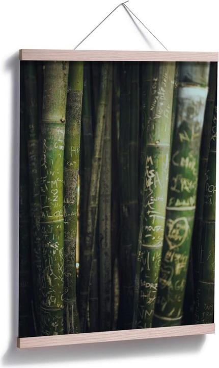 Image du produit Trenddeko Bambou vert (24 x 30 cm)