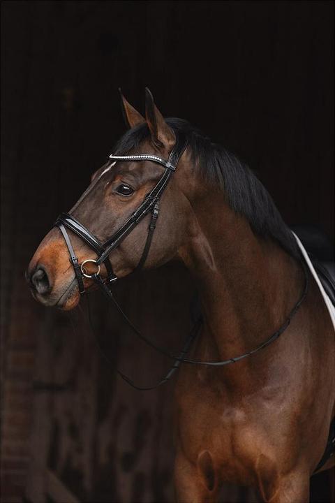 Produktbild Anky PatentATH24001