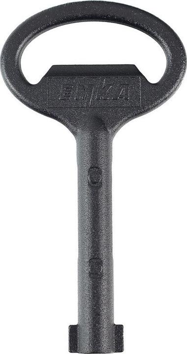 Actual product image Dönges Switch cabinet key DIN 43668, bore 5 MM, double bit, black (5 mm)
