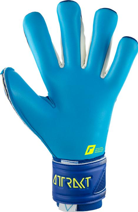Produktbild Reusch Attrakt Aqua Torwarthandschuh (11)