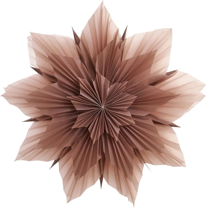 Produktbild Beliani Osteran (1x)