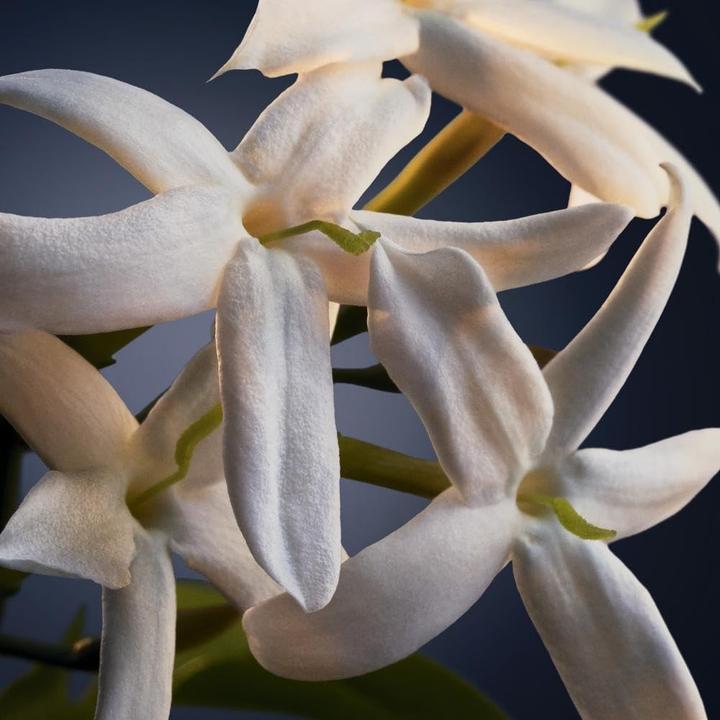 Immagine prodotto Paco Rabanne Phantom Intense Eau De Parfum Spray Ricaricabile 150ml (Eau de parfum, 150 ml)