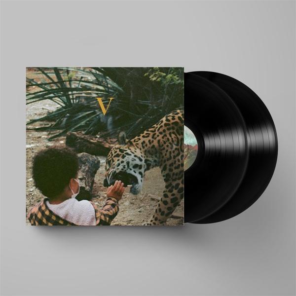 Produktbild V (Unknown Mortal Orchestra)