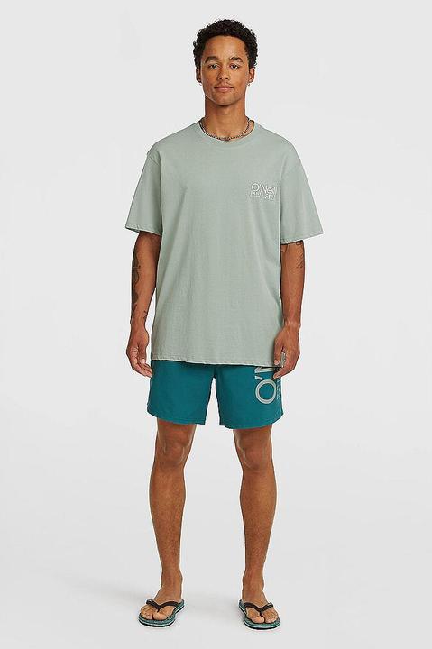 Actual product image O'Neill Cali 16" Swimshorts (S)