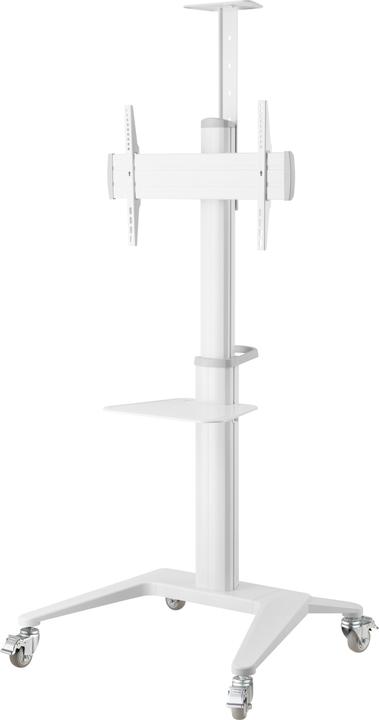 Reflecta TV Stand 70VCP-Shelf weiss (70", 70 kg)