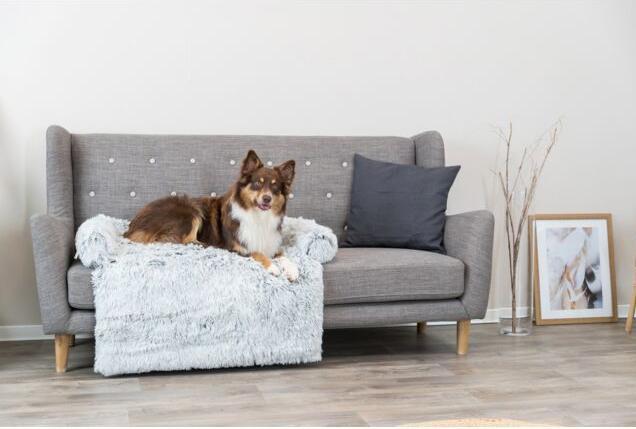 Produktbild Trixie Harvey (Hund)