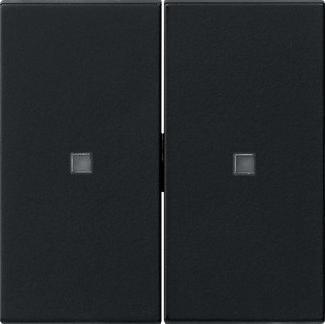 Actual product image Gira Rocker 2f unprinted controlf. System 55 5369005