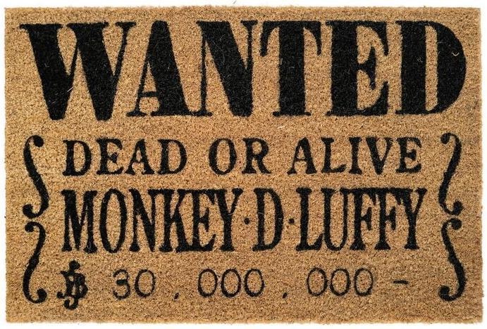 Actual product image NoName ONE PIECE NETFLIX - Carnet de Voyage - Format 12 x 19,5 cm (Checked, Lined, Soft cover)