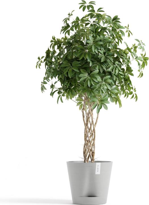 Produktbild Ecopots Venice 2 (40 x 35.70 cm)