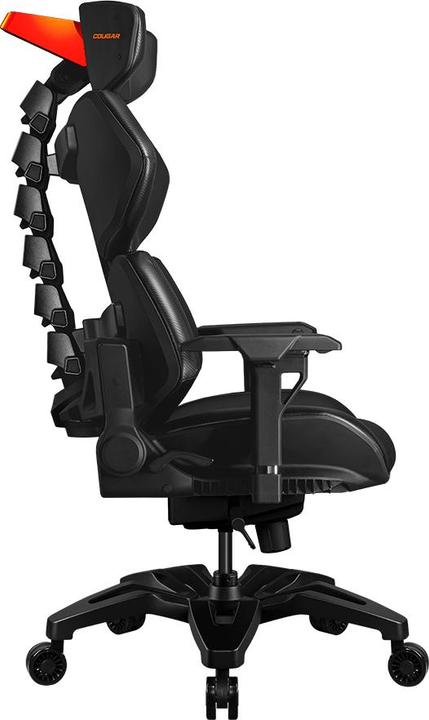 Actual product image Cougar Terminator