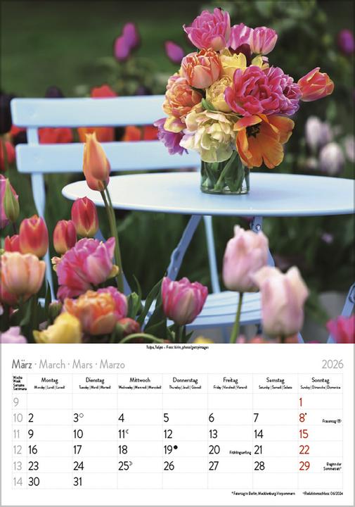 Produktbild Bltenzauber 2026