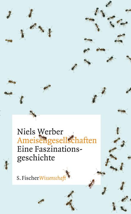 Produktbild Ameisengesellschaften (Deutsch, Niels Werber, 2013)