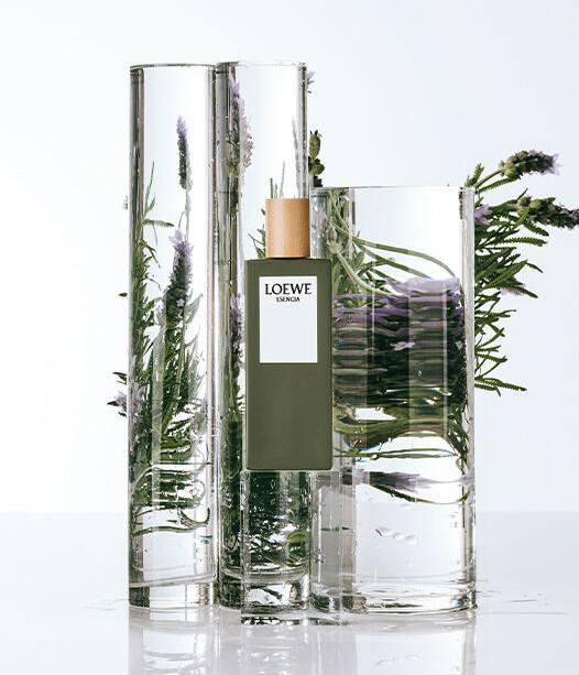 Actual product image Loewe Esencia (Eau de toilette, 150 ml)