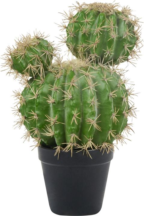 Actual product image Beliani Ball Cactus (33 cm)