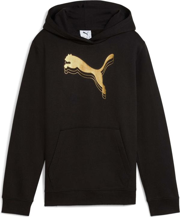 Produktbild Puma ESS METALLIC Hoodie FL G (140)