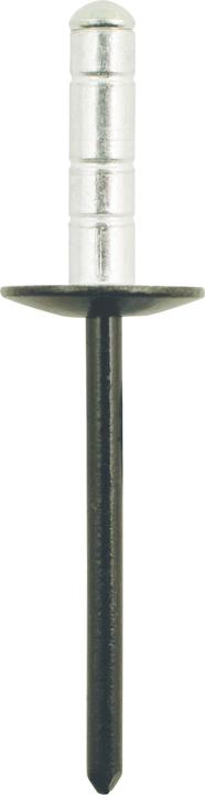 Produktbild KS Tools Sternniete 5/32" Standard-Flansch universal,10er Pack