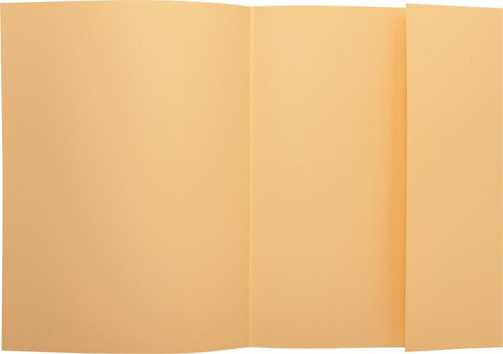 Produktbild Exacompta Sammelmappen - Aktendeckel (A4, 100x)