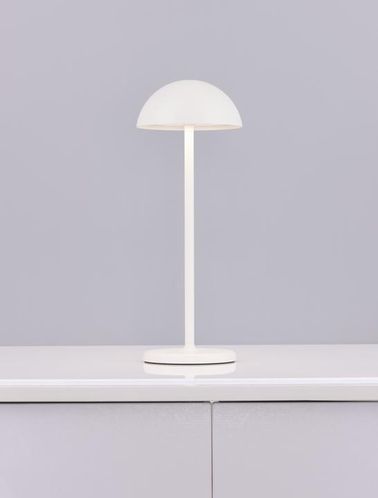 Actual product image Nova Luce Rose (207 lm)