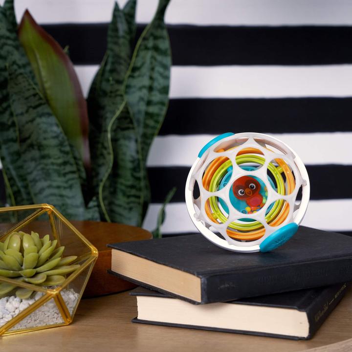 Image du produit Baby Einstein Le gyroscope de Roxy